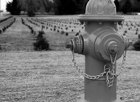 在线轰炸电话网页版免费测试